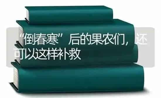 玉米出现秃尖、缺粒只需补施这些肥料 | 种植肥料施肥