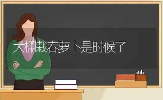 大棚栽春萝卜是时候了 | 蔬菜种植