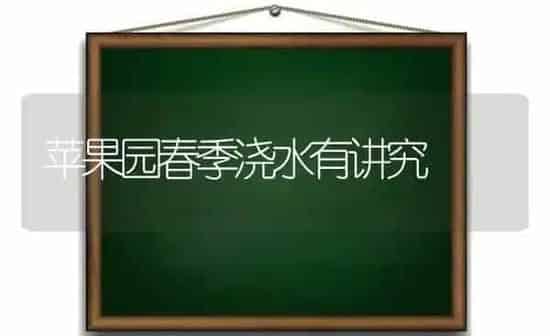 苹果园春季浇水有讲究 | 瓜果种植