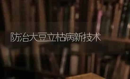 防治大豆立枯病新技术 | 粮油作物种植