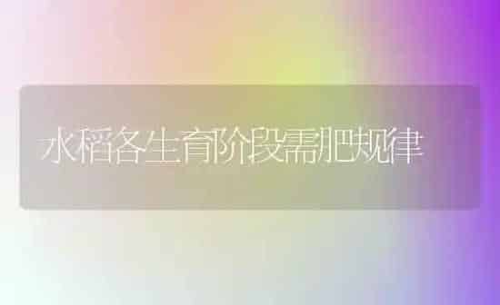 水稻各生育阶段需肥规律 | 粮油作物种植