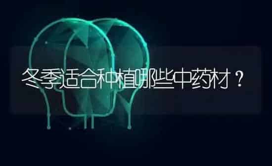 冬季适合种植哪些中药材？ | 药材种植