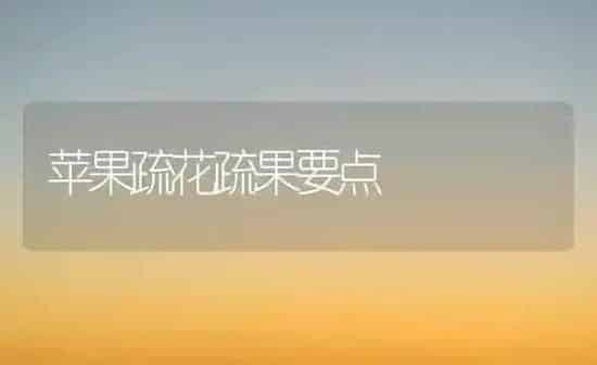 苹果疏花疏果要点 | 瓜果种植