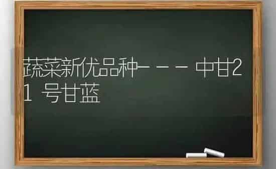 蔬菜新优品种---中甘21号甘蓝 | 蔬菜种植