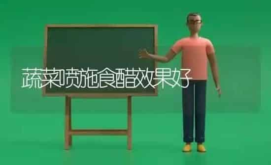 蔬菜喷施食醋效果好 | 蔬菜种植