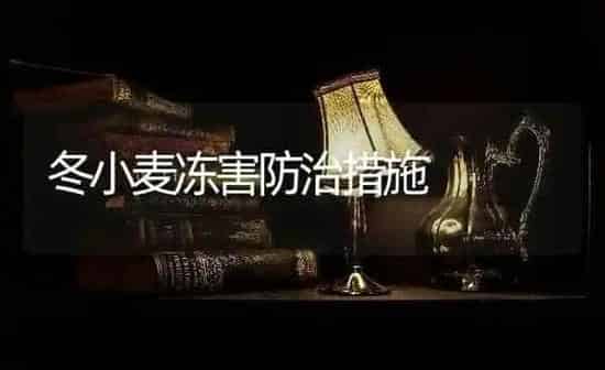 冬小麦冻害防治措施 | 粮油作物种植