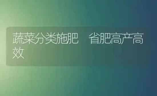 蔬菜分类施肥 省肥高产高效 | 蔬菜种植