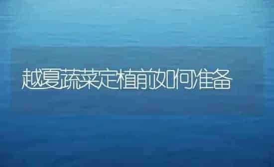 越夏蔬菜定植前如何准备 | 蔬菜种植