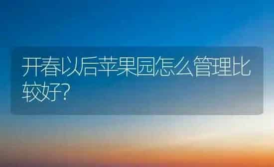 开春以后苹果园怎么管理比较好？ | 瓜果种植
