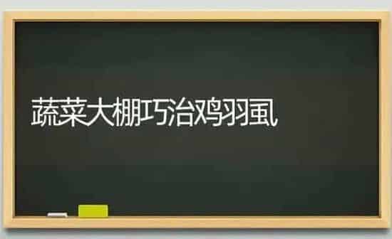 蔬菜大棚巧治鸡羽虱 | 蔬菜种植