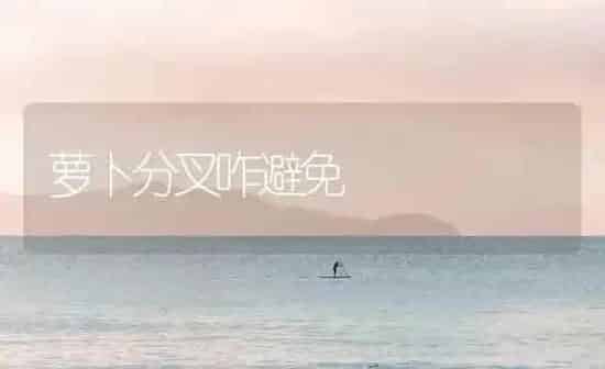 萝卜分叉咋避免 | 蔬菜种植