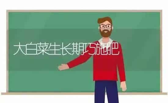 大白菜生长期巧施肥 | 种植肥料施肥