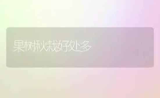 果树秋栽好处多 | 瓜果种植
