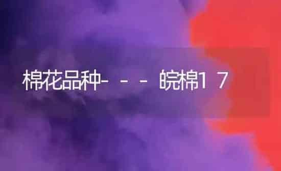 棉花品种---皖棉17 | 粮油作物种植