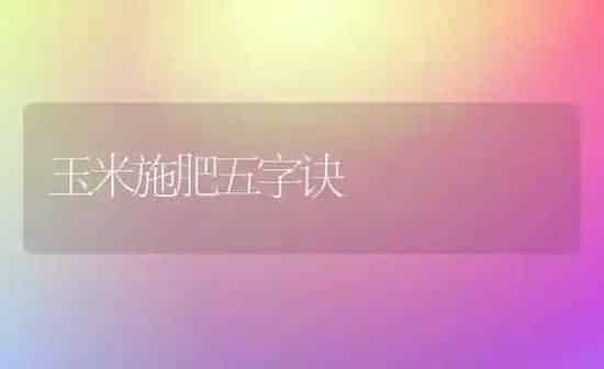 玉米施肥五字诀 | 种植肥料施肥