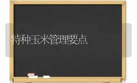 特种玉米管理要点 | 粮油作物种植