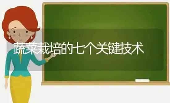蔬菜栽培的七个关键技术 | 蔬菜种植