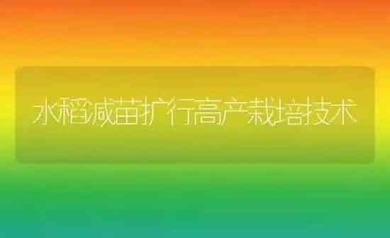 水稻减苗扩行高产栽培技术 | 粮油作物种植
