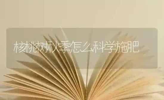 核桃树秋季怎么科学施肥 | 种植肥料施肥