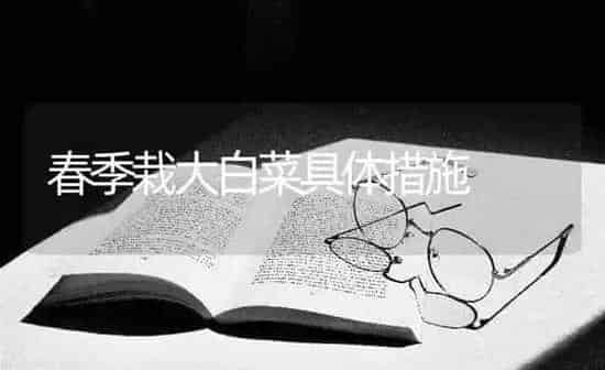 春季栽大白菜具体措施 | 蔬菜种植