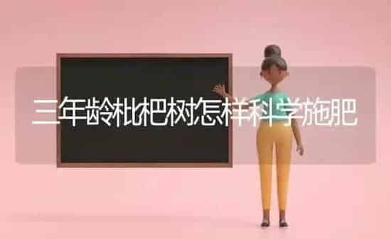 三年龄枇杷树怎样科学施肥 | 种植肥料施肥