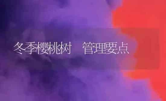 冬季樱桃树 管理要点 | 瓜果种植