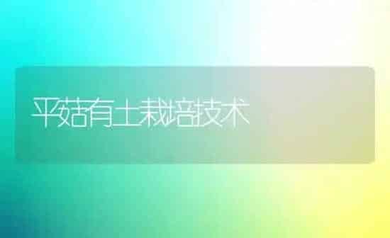 平菇有土栽培技术 | 食用菌种植