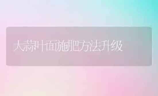 大蒜叶面施肥方法升级 | 种植肥料施肥