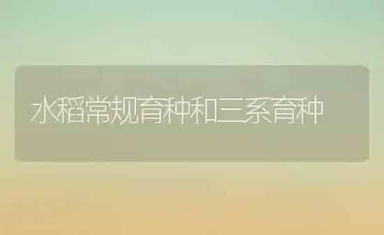 水稻常规育种和三系育种 | 粮油作物种植
