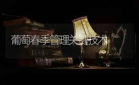 葡萄春季管理关键技术 | 瓜果种植