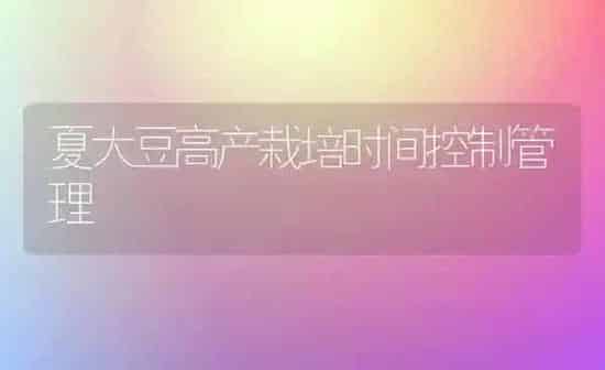 夏大豆高产栽培时间控制管理 | 粮油作物种植