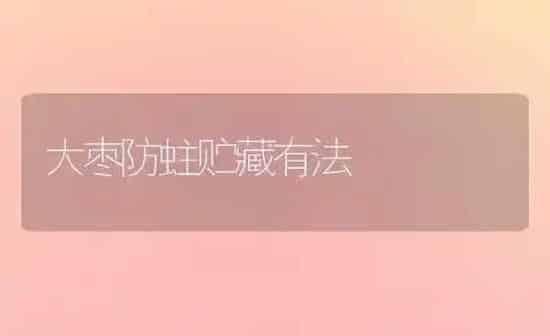 大枣防蛀贮藏有法 | 瓜果种植