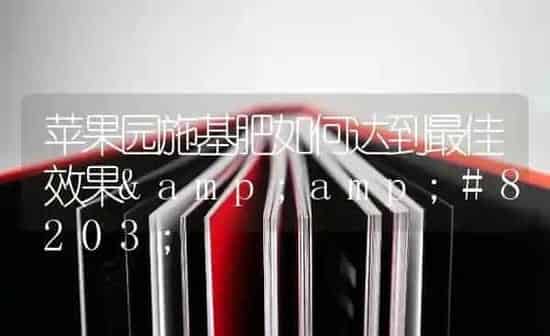 苹果园施基肥如何达到最佳效果​ | 瓜果种植