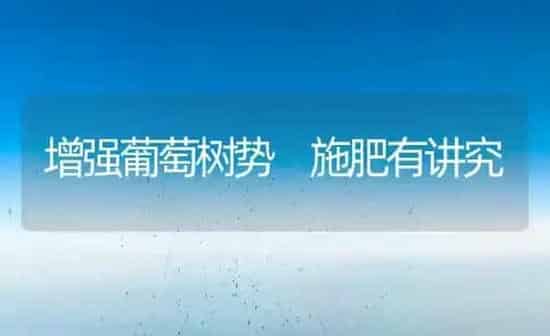 增强葡萄树势 施肥有讲究 | 种植肥料施肥