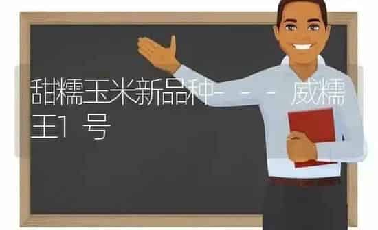 甜糯玉米新品种---威糯王1号 | 粮油作物种植