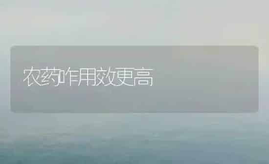 农药咋用效更高 | 种植病虫害防治