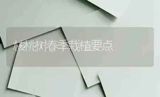 核桃树春季栽植要点 | 瓜果种植