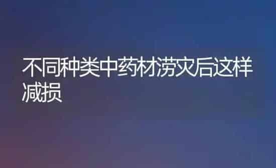 不同种类中药材涝灾后这样减损 | 药材种植