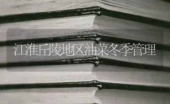 江淮丘陵地区油菜冬季管理 | 粮油作物种植