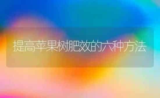 提高苹果树肥效的六种方法 | 瓜果种植