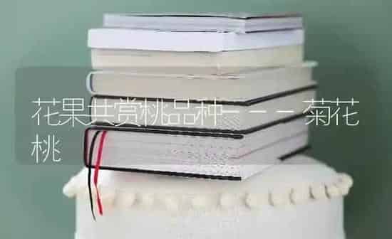 花果共赏桃品种---菊花桃 | 瓜果种植