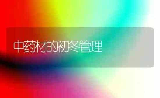 中药材的初冬管理 | 药材种植