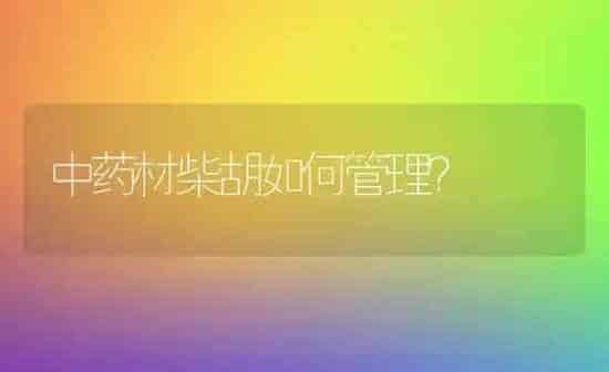 中药材柴胡如何管理？ | 药材种植