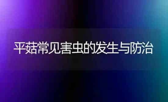 平菇常见害虫的发生与防治 | 食用菌种植