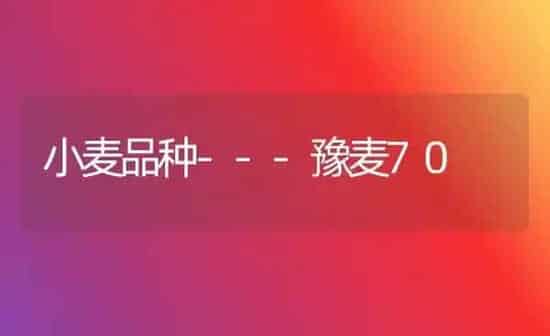 小麦品种---豫麦70 | 粮油作物种植