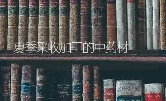 夏季采收加工的中药材 | 药材种植