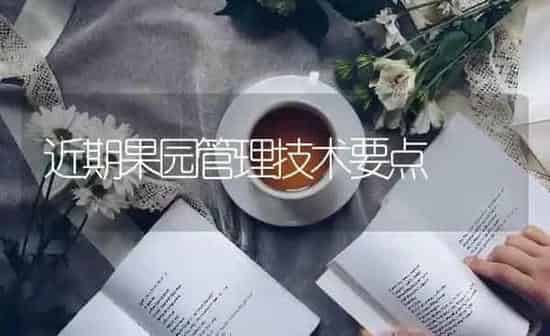 近期果园管理技术要点 | 瓜果种植