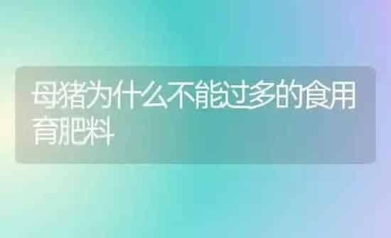 母猪为什么不能过多的食用育肥料 | 种植肥料施肥