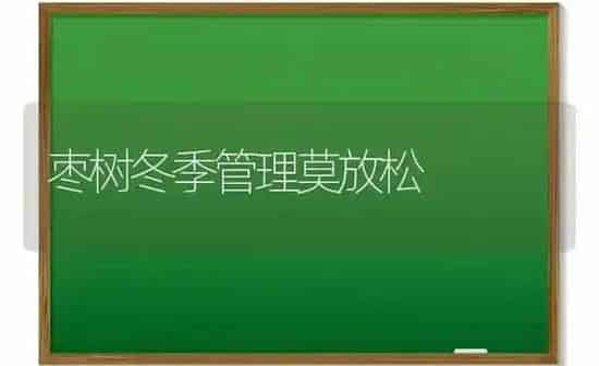 枣树冬季管理莫放松 | 瓜果种植