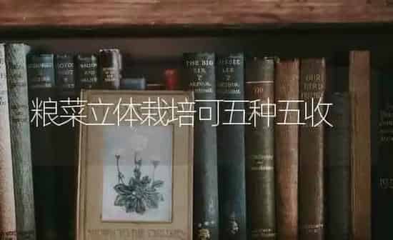 粮菜立体栽培可五种五收 | 蔬菜种植